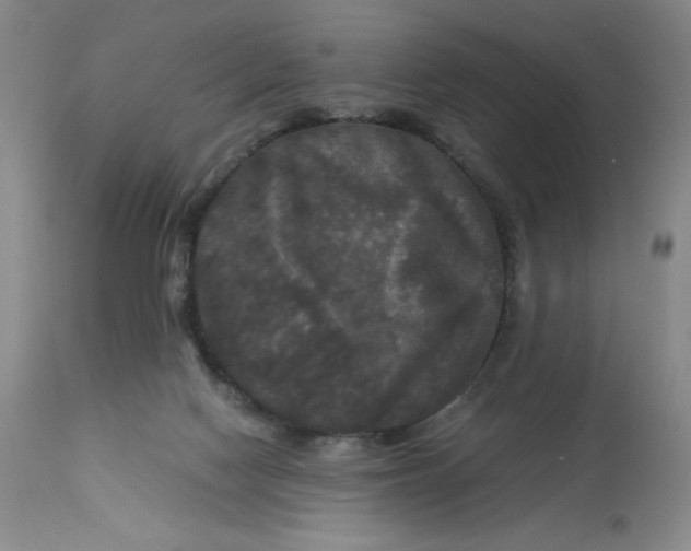 X0000113140074200909251314