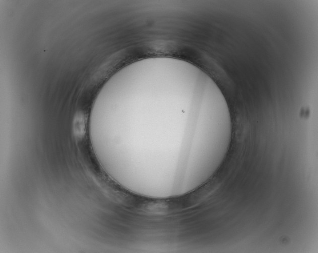 X0000113140075200909251314