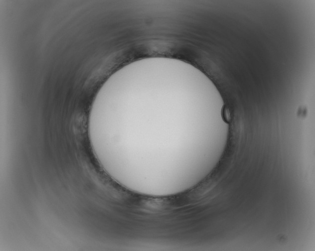 X0000113140079200909251314