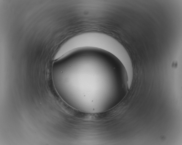 X0000113140080200909251314