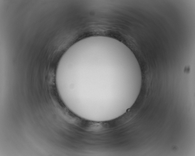 X0000113140083200909251314