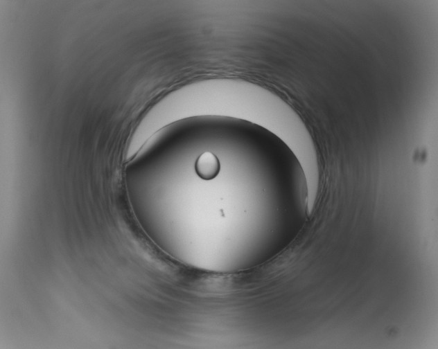 X0000113140084200909251314