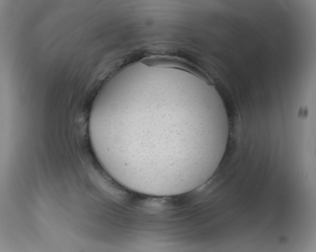 X0000113140086200909251314