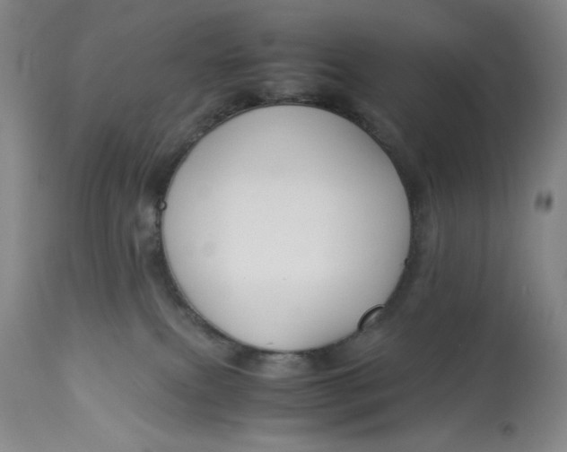 X0000113140087200909251314