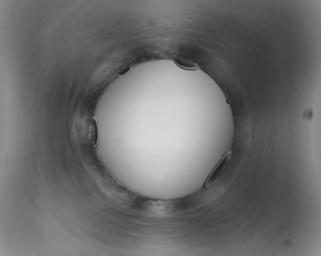 X0000113140088200909251314