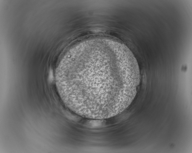 X0000113140089200909251314