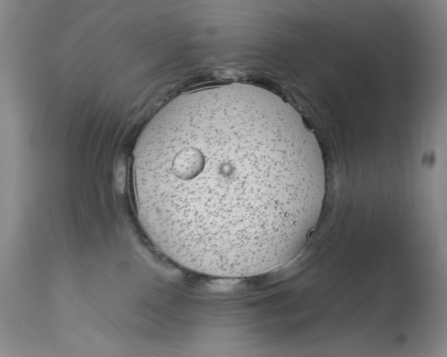 X0000113140090200909251314