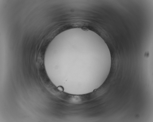 X0000113140091200909251314