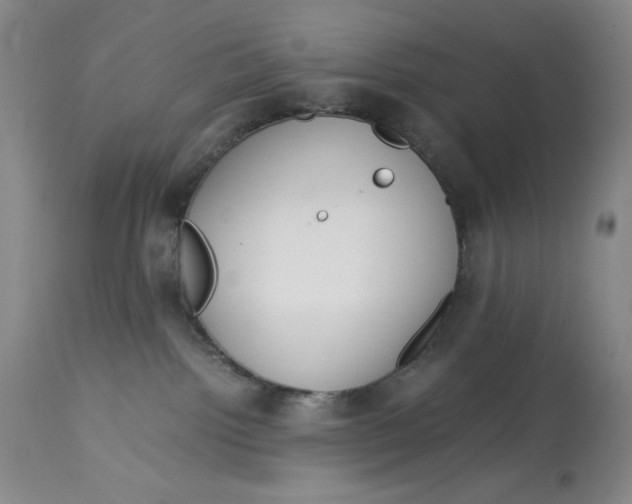 X0000113140092200909251314