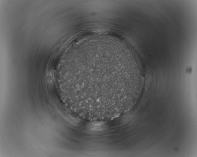 X0000113140093200909251314