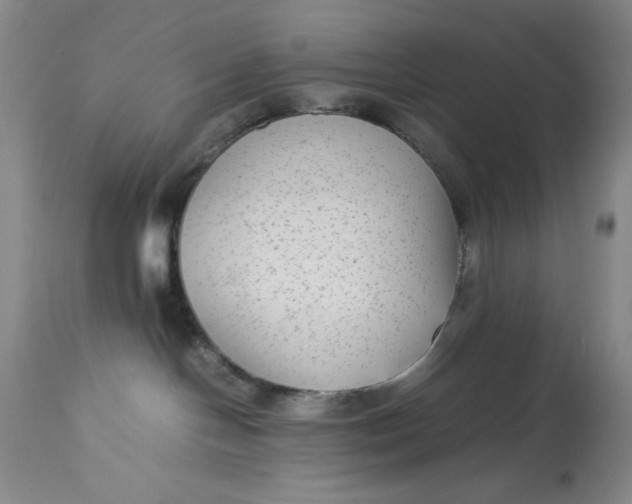 X0000113140094200909251314