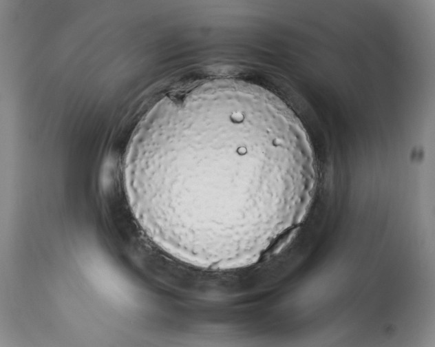 X0000113140095200909251314