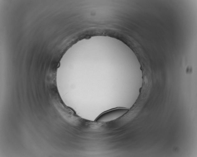 X0000113140096200909251314