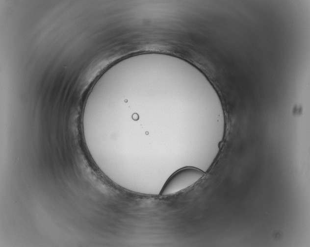 X0000113140098200909251314