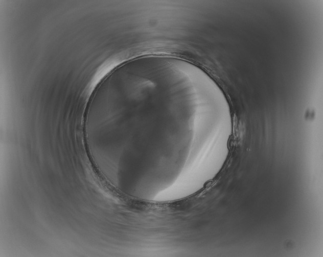 X0000113140099200909251314