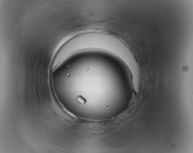 X0000113140100200909251314