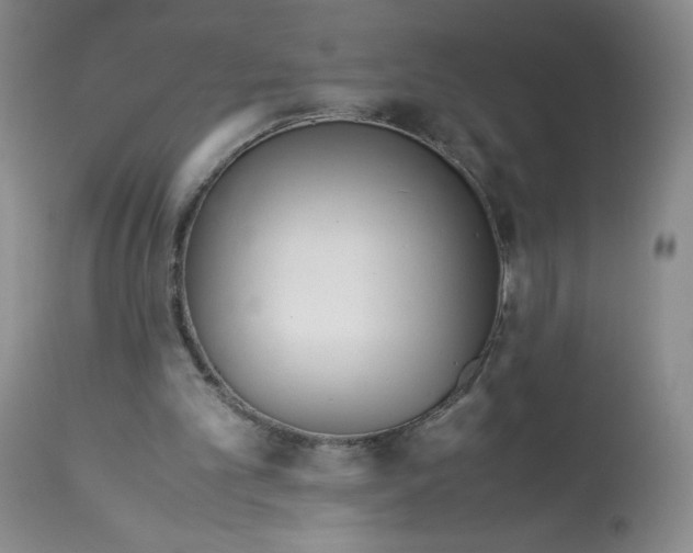 X0000113140101200909251314