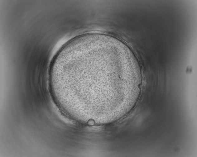 X0000113140102200909251314