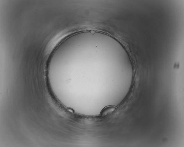 X0000113140103200909251314