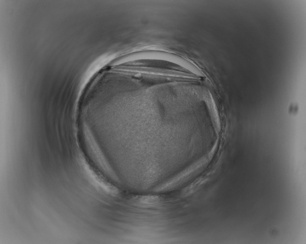 X0000113140104200909251314