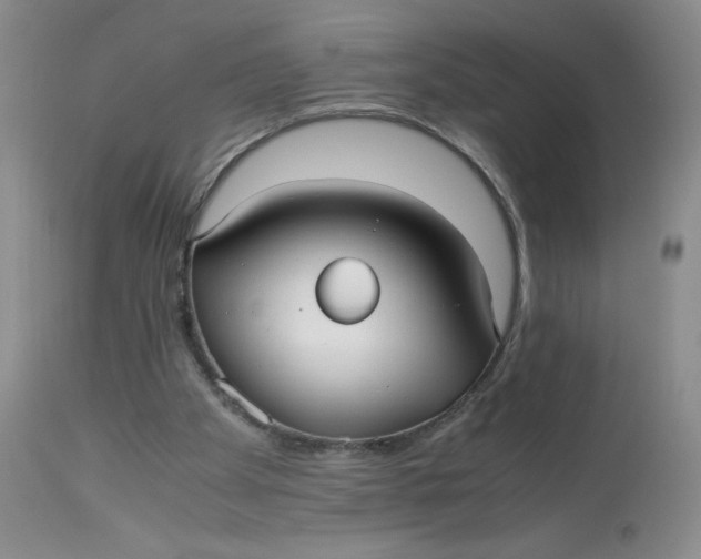 X0000113140105200909251314