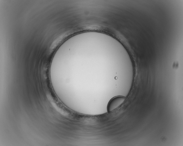 X0000113140106200909251314