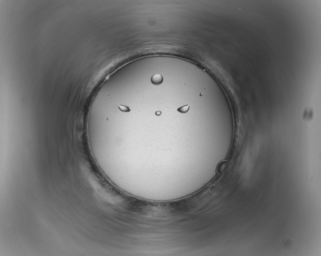 X0000113140107200909251314