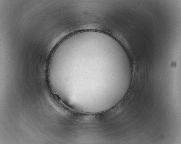 X0000113140108200909251314