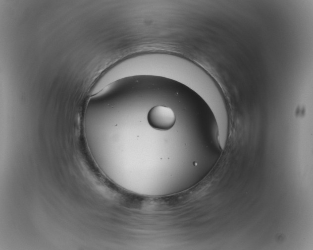 X0000113140109200909251314