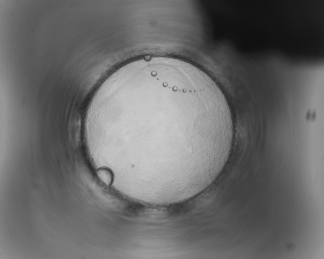 X0000113140110200909251314