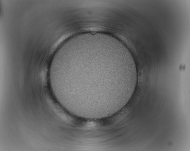 X0000113140111200909251314