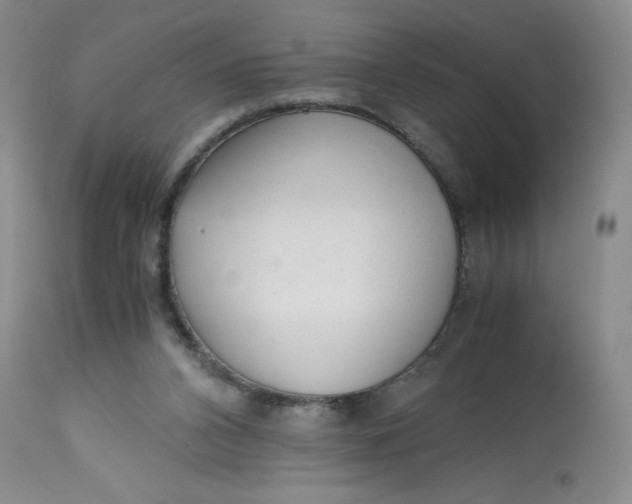 X0000113140112200909251314