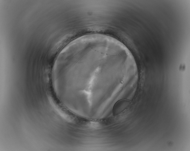 X0000113140114200909251314