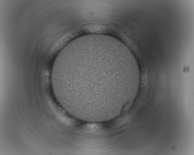 X0000113140117200909251314