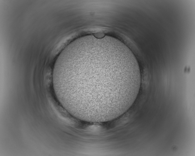 X0000113140119200909251314