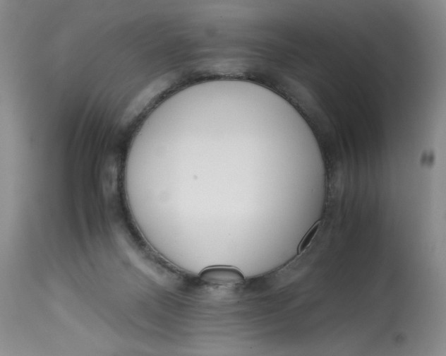 X0000113140120200909251314