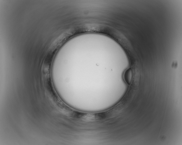 X0000113140123200909251313