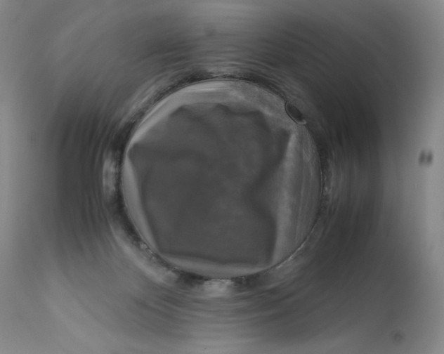 X0000113140124200909251313