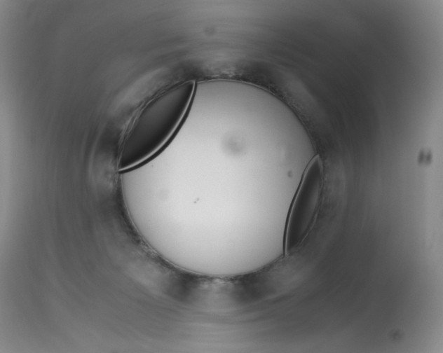 X0000113140125200909251313