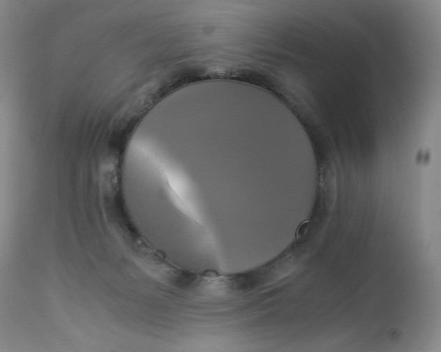 X0000113140127200909251313