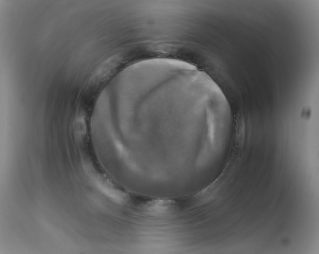 X0000113140128200909251313