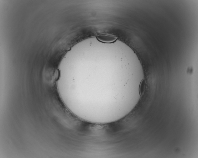 X0000113140129200909251313