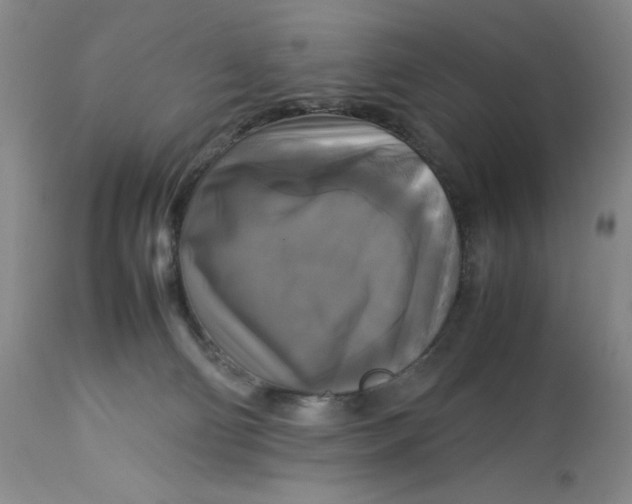 X0000113140130200909251313