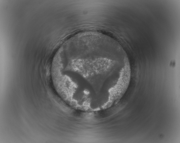 X0000113140131200909251313