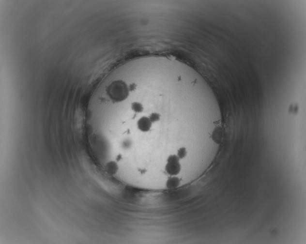 X0000113140132200909251313