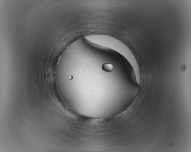 X0000113140136200909251313