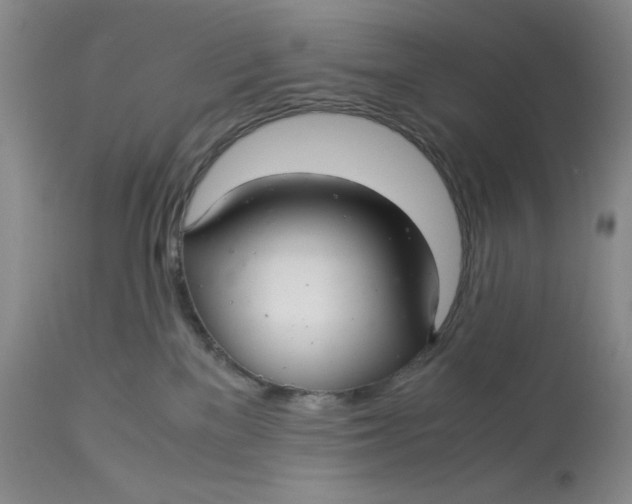 X0000113140137200909251313