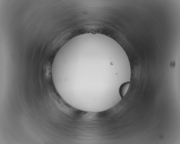 X0000113140138200909251313