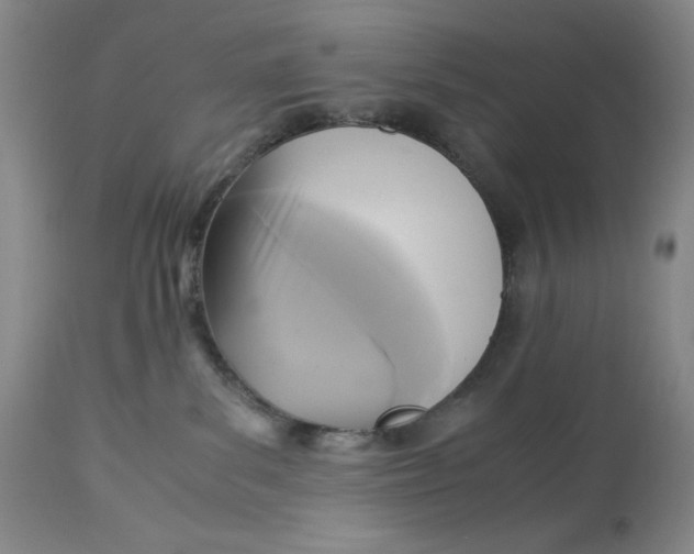 X0000113140139200909251313