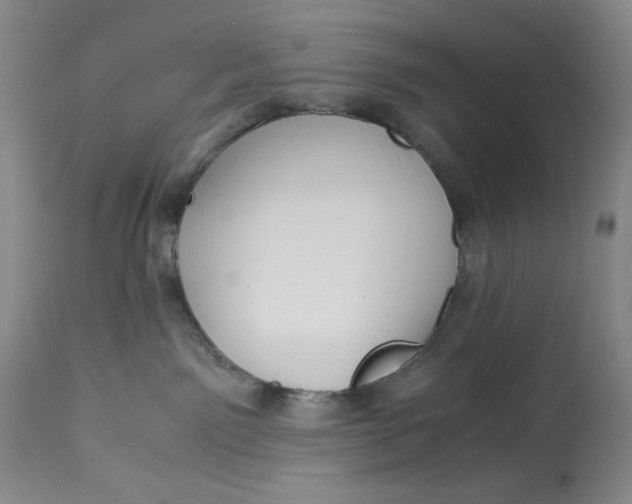 X0000113140141200909251313